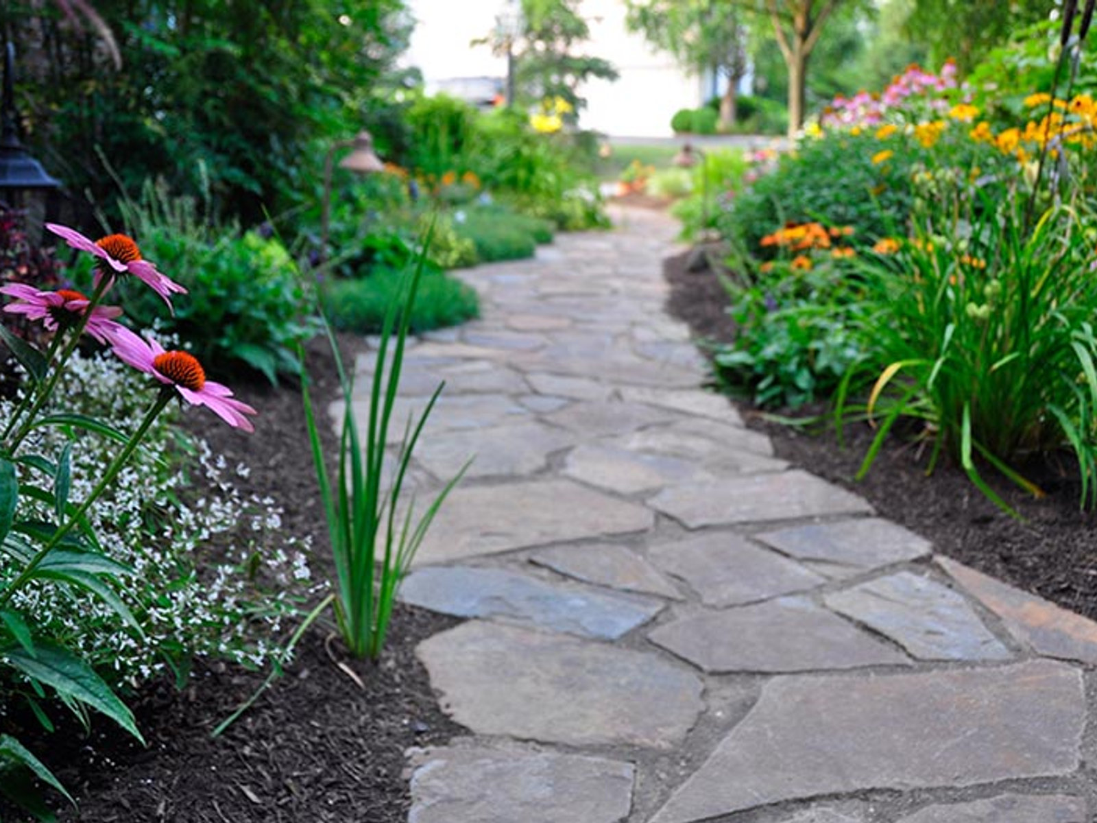 Curved paver walkway through a landscaped front yard